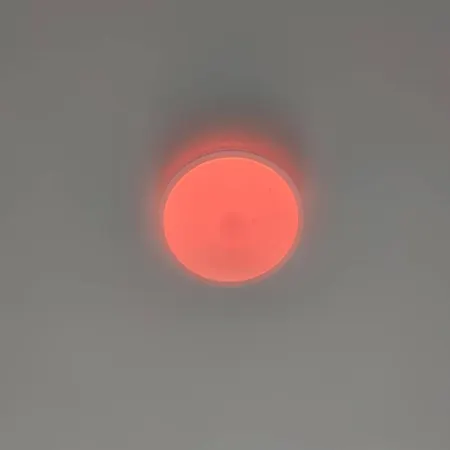 Botanic Garden Private Kwatera prywatna Wrocław