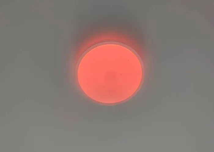 Botanic Garden Private Kwatera prywatna Wrocław